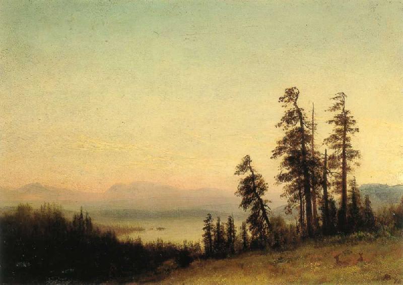 Albert Bierstadt Landscape with Deer France oil painting art